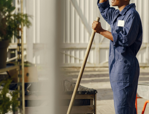 Recent labour law decisions reinforce several important workplace principles.